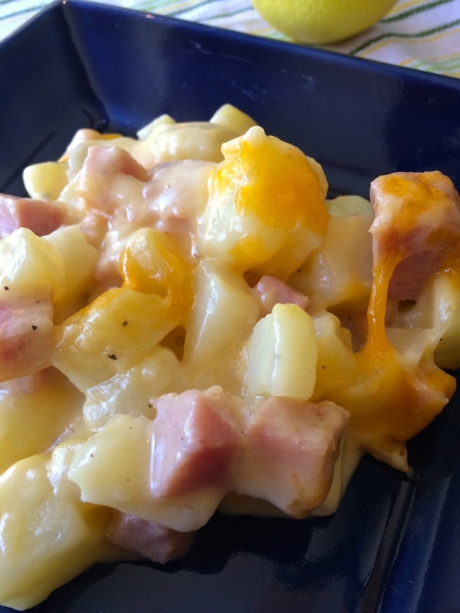 When you want something warm and comforting this Ham and Potato Supreme is just the answer. The velvety cheese sauce blankets the ham and potatoes making it the perfect cool weather comfort food!