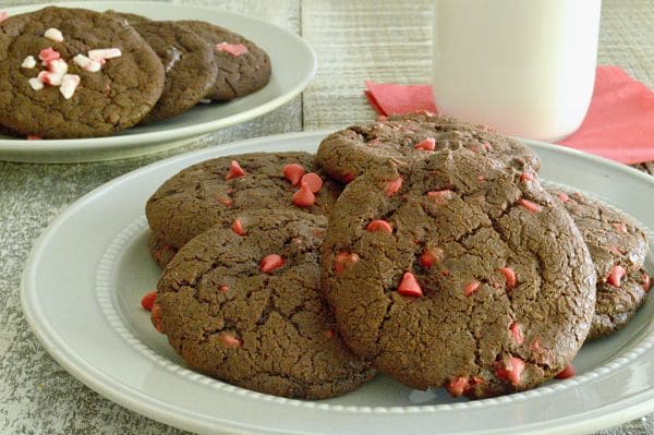 Chewy Chocolate Cookies on a plate with cherry Chips