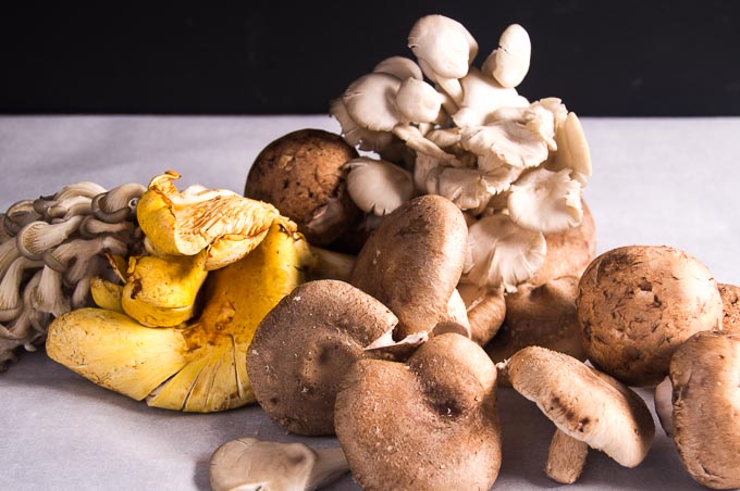 Oyter mushrooms, porcini, chanterelle and crimini mushrooms to be used in the Savory Bread Pudding with mushrooms.