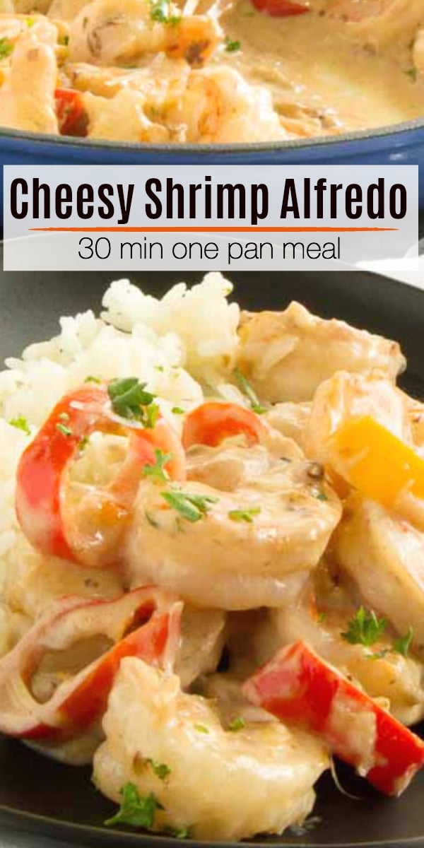 Shrimp Alfredo Recipe is full of creamy, cheesy and velvety sauce all around tender succulent shrimp!  Easy comfort food that comes together in one pan in 30 minute for easy weeknight meal entertaining.
