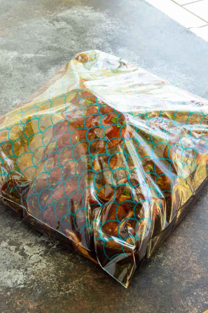 zip lock bag sealed with marinade and meat