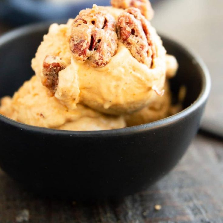 Bowl of ice cream made of pumpkin topped with pecans