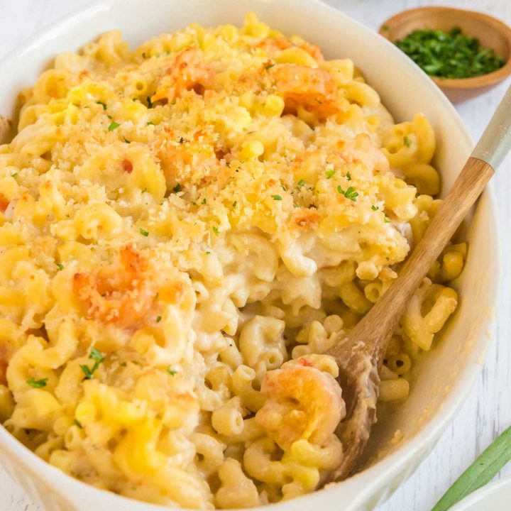 トップス makaroni Spicy Asiago Shrimp Mac and Cheese - West Via Midwest